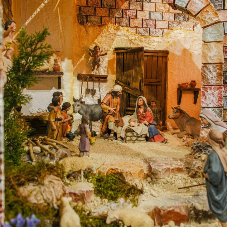 318727466_10210554819384676_8215348617437654293_n