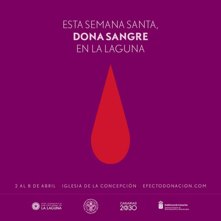 337868240_963130574690349_5327209033422622917_n