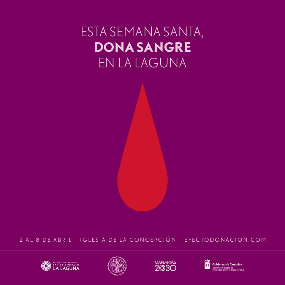 337868240_963130574690349_5327209033422622917_n