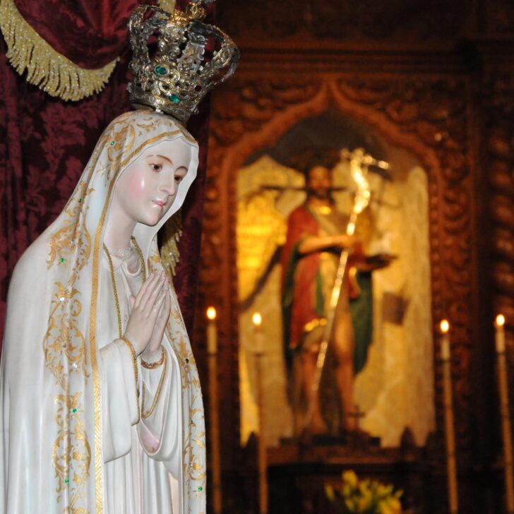 441490447_8029535050414374_4886035095843363180_n