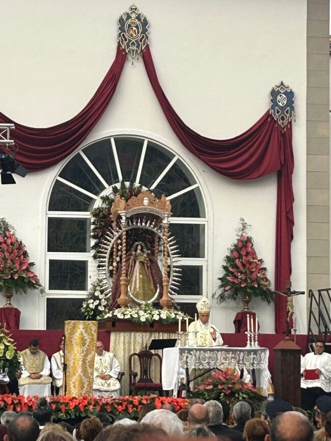 ee879417-bf57-4805-b10b-1192df1dd775