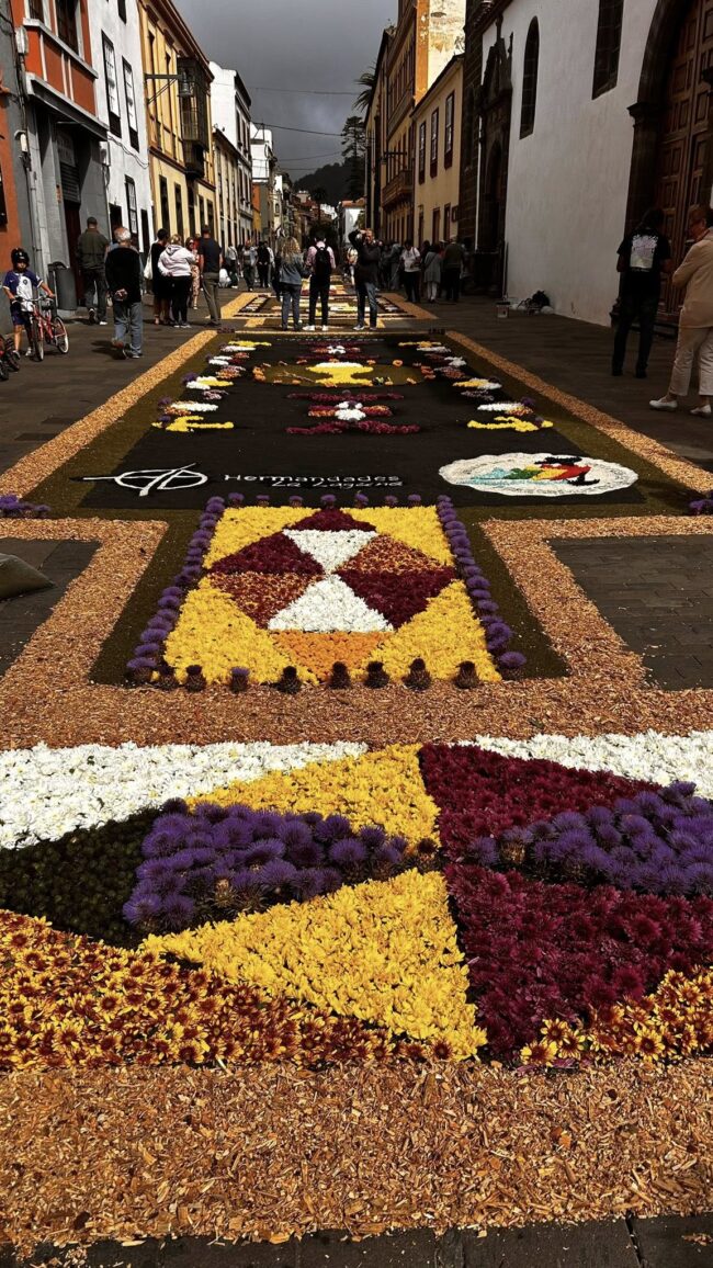 510801279_1157567156409649_909218550670516805_n