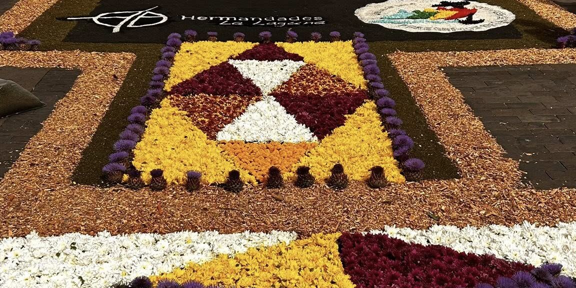 510801279_1157567156409649_909218550670516805_n